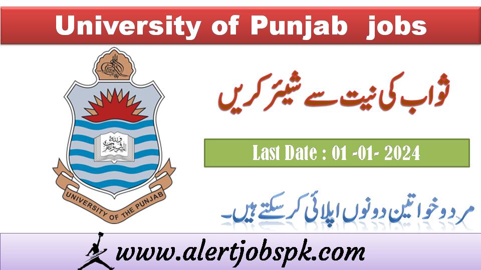 Punjab university jobs-University of Punjab jobs