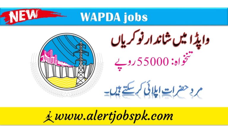 wapda new jobs Governor House