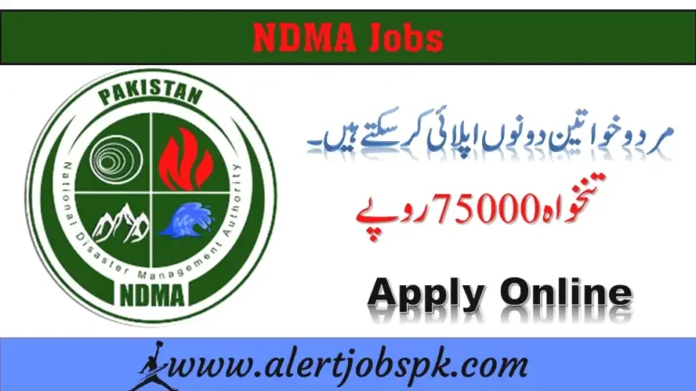 ndma jobs Governor House