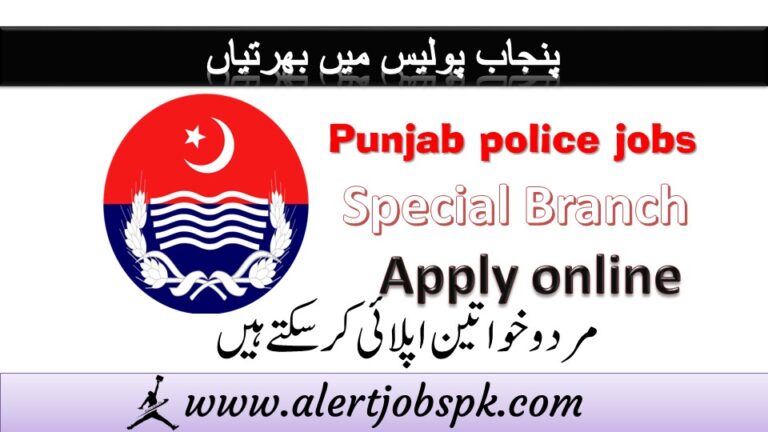 Punjab police spacil barnch jobs Traffic Police jobs